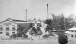 A view of the plant