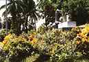 Distillery garden