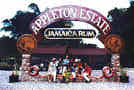 The label of the Appleton V/X sign has been created, giving opportunity of having your photo taken 'inside the label'