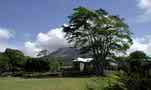 Depaz plantation.
