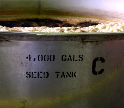 ... The mixture is then cooled to room temperature and transferred to the