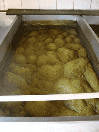 Fermentation.
