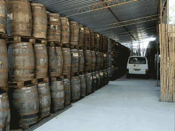 The oak barrels for aging.