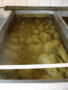 Fermentation.